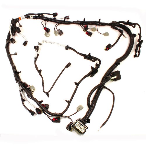 5.0L COYOTE ENGINE HARNESS