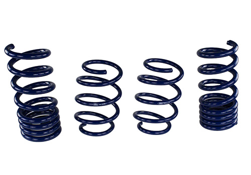 2015-2020 MUSTANG GT350 LOWERING SPRINGS