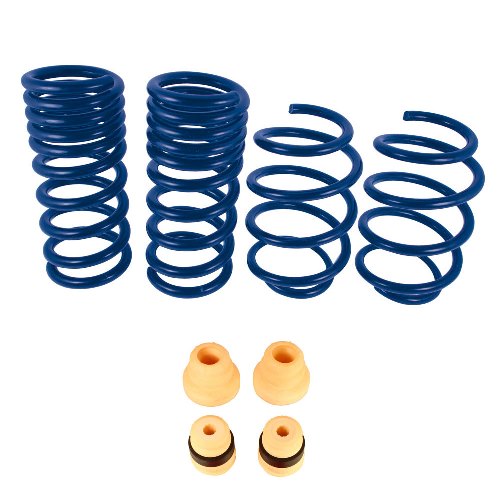 2015-2020 MUSTANG STREET LOWERING SPRINGS