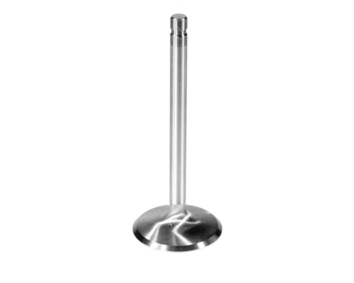 INTAKE VALVE